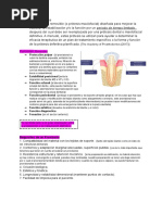 Provisorio