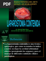 Laparotomia Contenida