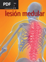 Lesión Medular: Los Fundamentos: Identificación y Tratamiento de La