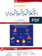 17 - Protein Structures & Functions 2023