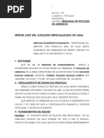 Señor Juez Del Juzgado Especializado de Lima