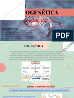 Epigenetica PPTs