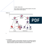 Seminario de Histologia 1