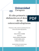 El Cilio Primario y Su Disfunción en El Desarrollo de Las Osteocondrodisplasias