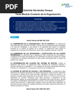 Tarea Contexto de La Organización