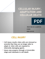 Cellular Injury, Adaptation and Cellular Death