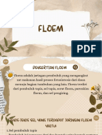 Floem