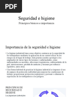 Precentacion de Seguridad