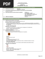 FDS Lejia Detergente Grupo IFA PDF