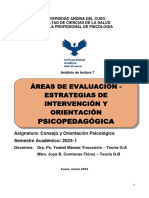 Psicopedagógica: Áreas de Evaluación - Estrategias de Intervención Y Orientación