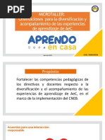 ORIENTACIONES PARA LA DIVERSIFICACIÓN... AeC 14abril Finalreajustado