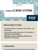 Endocrine System