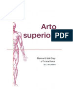 Arto Superiore PDF