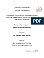 SuarezMontanoRosaelena PDF