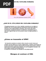 ¿Cómo Se Transmite El VPH?