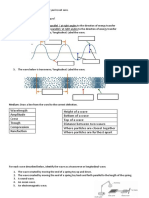 Transverse and Longitudinal Worksheet