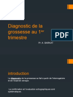 Diagnostic de La Grossesse Au Premier Trimestre