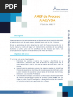 FMEA Proceso AIAG - VDA 1a Ed - CD REV.01 08052020