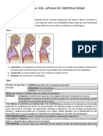 Clase Semiología Aparato Respiratorio