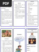 Triptico Api de Kiwicha