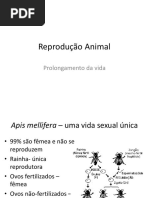 Reprodução Animal: Prolongamento Da Vida