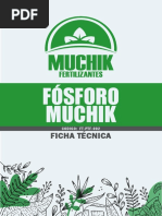 Fósforo Muchik: Ficha Técnica