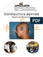 Craneopuntura Japonesa: Sistema de Yamamoto