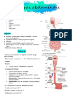 Aula 3 - Esofago e Estomago