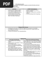 Nursing Process Focus Drug Study Template