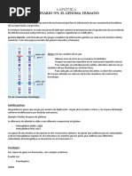 Genetica Resumen PDF