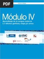 Módulo IV Aprendizaje de La Lengua Materna L1 Idioma Garífuna, Maya y Xinca