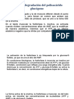 Síntesis y Degradación Del Polisacárido Glucógeno Bioquimica Tercer Parcial Expo