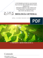 Unidad IV Bioenergética