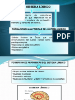 Formaciones Anatómicas Del Sistema Límbico