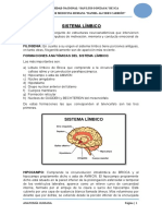 Neuroanato Vías Sensoriales Completo