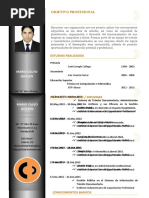 Objetivo Profesional: Mario Calvo Guillen