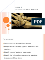 Anaphys SKELETAL SYSTEM