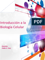 EJE TEMATICO N 2 Introduccion A La Biologia Celular