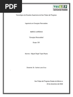 Ensayo Energías Renovables