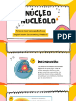 Nucleo y Nucleolo