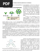 Estructura y Funcion Proteica II.