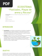 ECOSISTEMA Playas de Arena y Rocosa, Matorrales