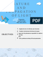 Nature and Propagation of Light