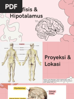 Hipofisis & Hipotalamus: Anatomi