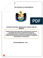 Municipalidad Provincial de Castrovirreyna: Contratación Del Servicio de Consultoría en General