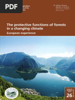 The Protective Functions of Forests in A Changing Climate: European Experience