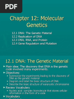 Chapter 12: Molecular Genetics