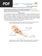 Biomecánica: Indagamos Sobre La Mecánica de Nuestro Cuerpo