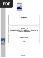 Álgebra: Unidad 1 Trabajo Práctico #1: Matrices y Sistemas de Ecuaciones Lineales