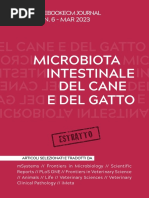 ESTRATTO Ebook ECM Journal 6 - 2023b